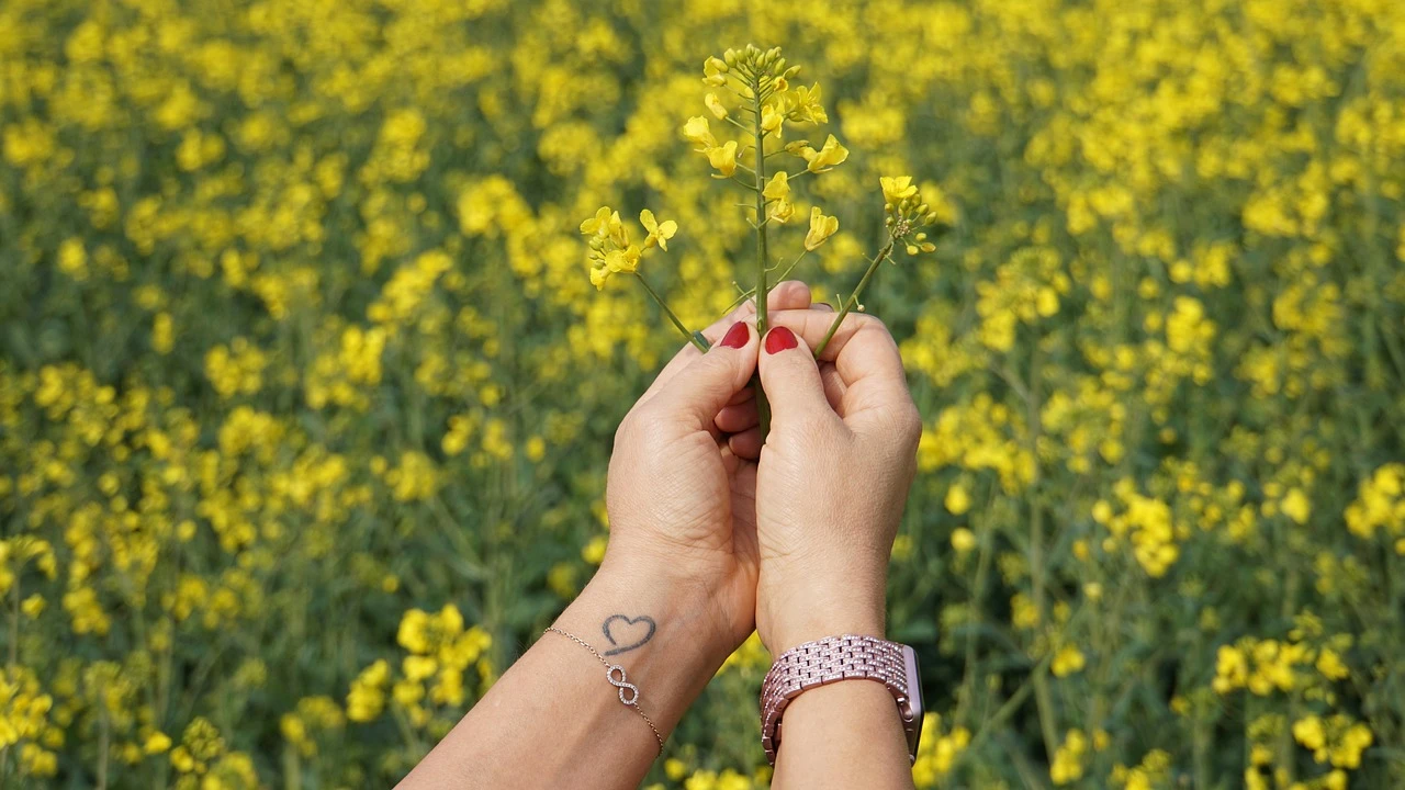 Apex Armband | Kompatibel mit Apple Watch Ultra-BerlinBravo #farbe_grün