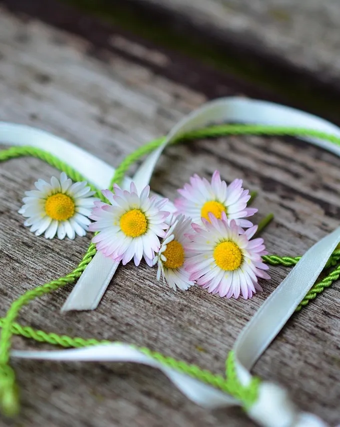 Magnetic Soft Silikon | Armband kompatibel mit Apple Watch-BerlinBravo