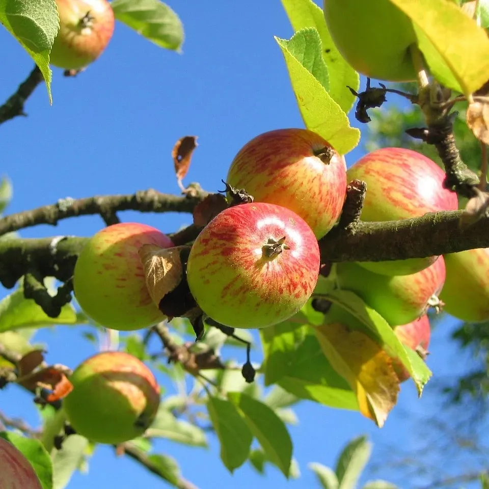 Milanaise Edelstahlarmband | Kompatibel mit Apple Watch-BerlinBravo #farbe_pink
