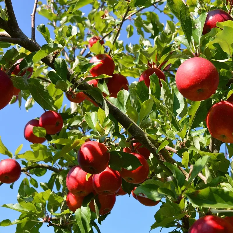 Sport Performance Soft Silikon | Armband kompatibel mit Apple Watch