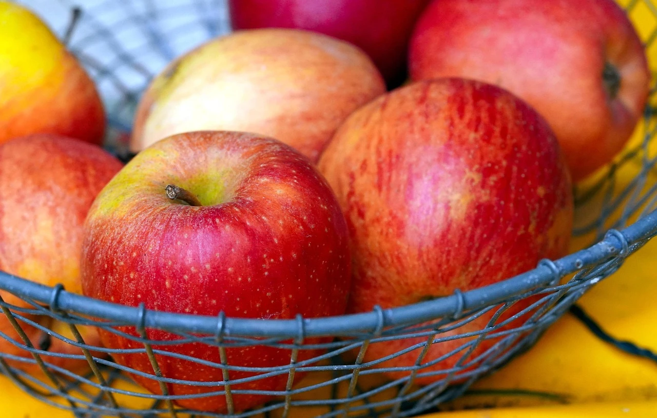 Geschenke für Apple Watch Besitzer kaufen