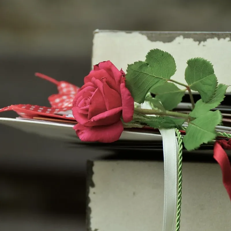 Milanaise Edelstahlarmband | Kompatibel mit Apple Watch-BerlinBravo #farbe_Rosegold