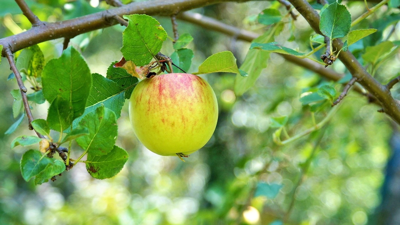Milanaise Edelstahlarmband | Kompatibel mit Apple Watch-Mitternacht-BerlinBravo #farbe_Mitternacht