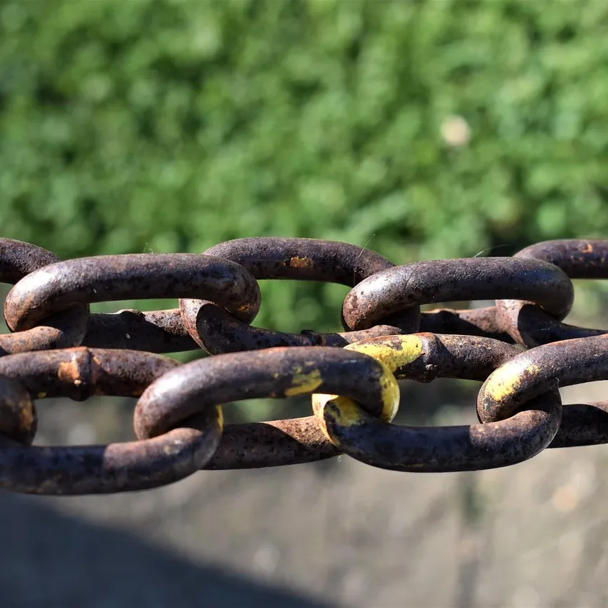 Jasmine - Metal Thread Chain | Gliederarmband kompatibel mit Apple Watch-BerlinBravo